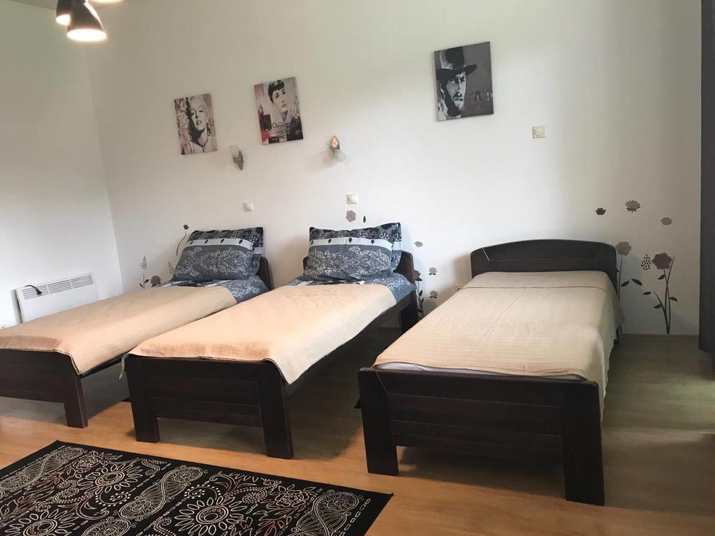 Felix Apartment Zlatibor Eksteriør bilde